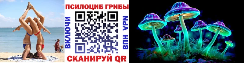 Псилоцибиновые грибы Psilocybine cubensis Купить закладки Новая Усмань